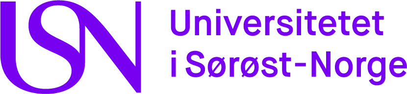 Universitetet i Søraust-Noreg